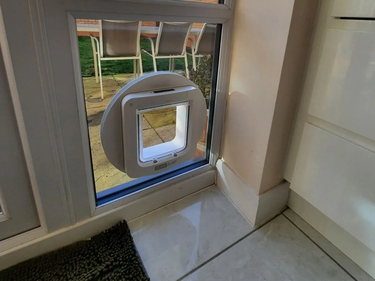 cat flap and dog flap installations
