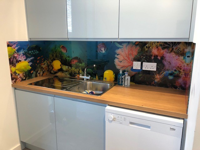 Image Print Splashback Huntingdon