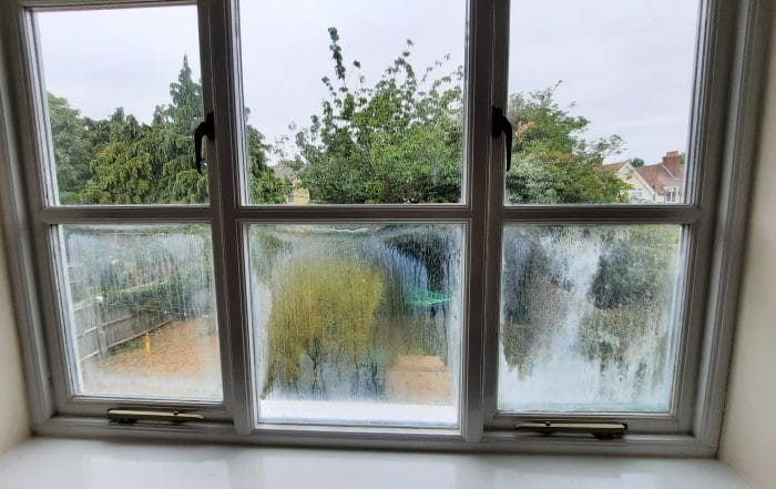 Misty and Foggy failed Double-Glazed Unt