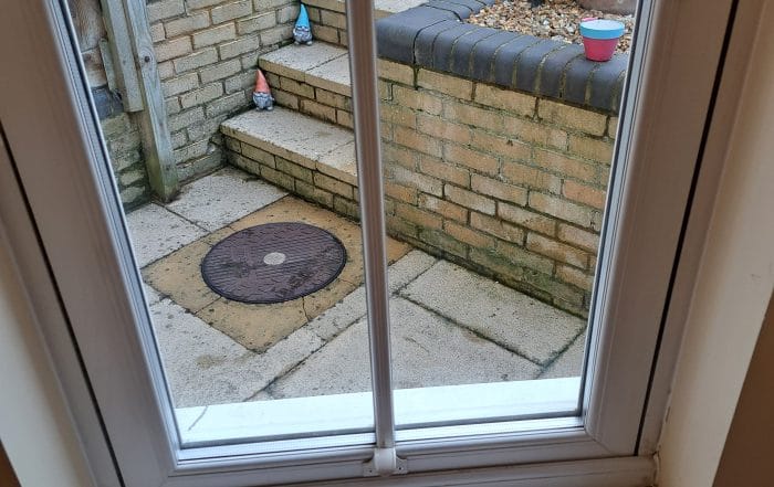 Before Cat Flap